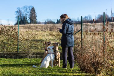 Kadın yıkamaları köpekler dışında