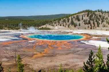 Yellowstone Ulusal Parkı 'nda Büyük Prismatik Bahar