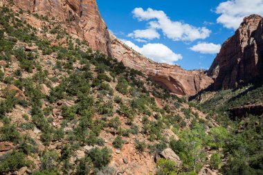 Sayısı, Zion National Park