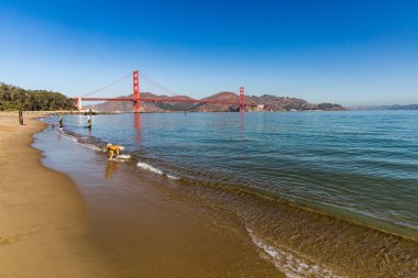 Golden Gate Köprüsü görünümüne Crissy alan Park