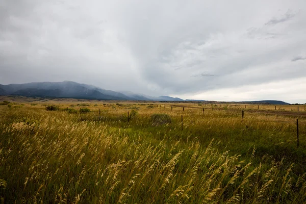 Amplio campo abierto en el Condado de Alamosa, Colorado — Foto de Stock