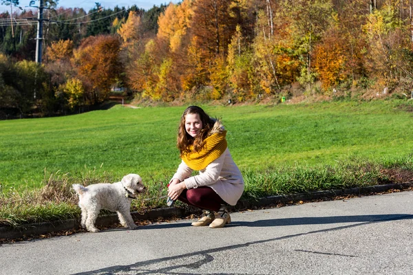 Ormandaki bir fino köpeği ile kız — Stok fotoğraf