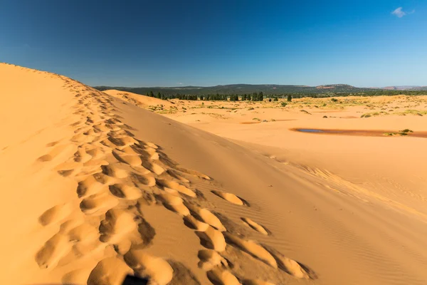 Výhled z Coral Pink písek duny státní Park — Stock fotografie