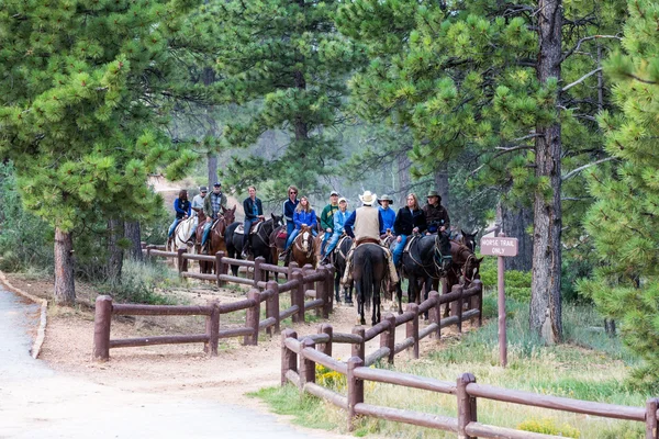 İnsanlar üzerinde yürüyüş parkurları Bryce Canyon Milli Parkı'nda ata binme — Stok fotoğraf