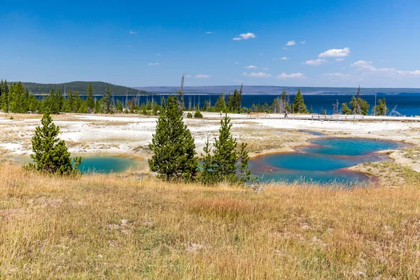 Bacia de Geyser West Thumb no Parque Nacional de Yellowstone — Fotografia de Stock