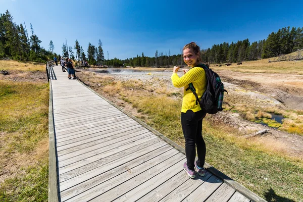 Jana-modell med bisonoxar i Yellowstone National Park — Stockfoto