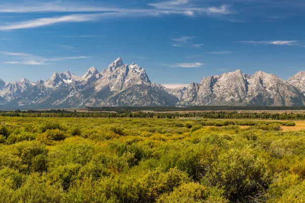 Blick auf die Felder und Berge im Grand Teton Nationalpark — Stockfoto