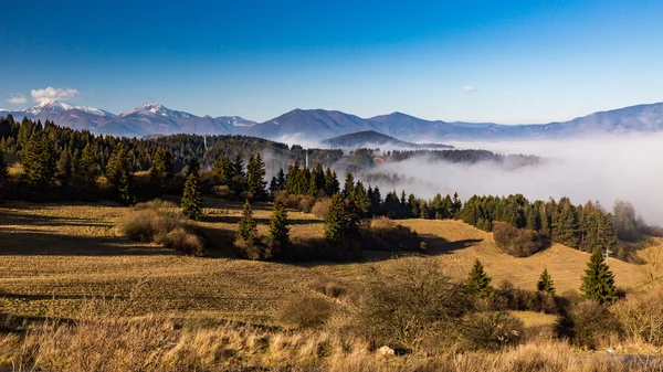 Orava natureza vista do Valaska Dubova — Fotografia de Stock