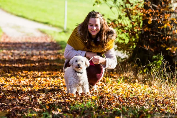 Ormandaki bir fino köpeği ile kız