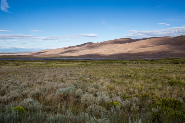 Park Narodowy Great Sand Dunes — Zdjęcie stockowe