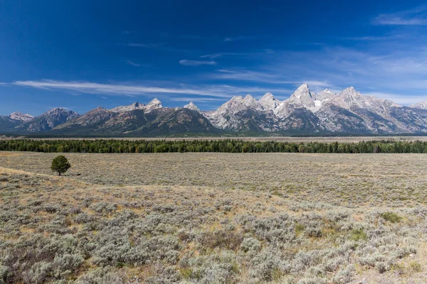 Blick auf die Felder und Berge im Grand Teton Nationalpark — Stockfoto