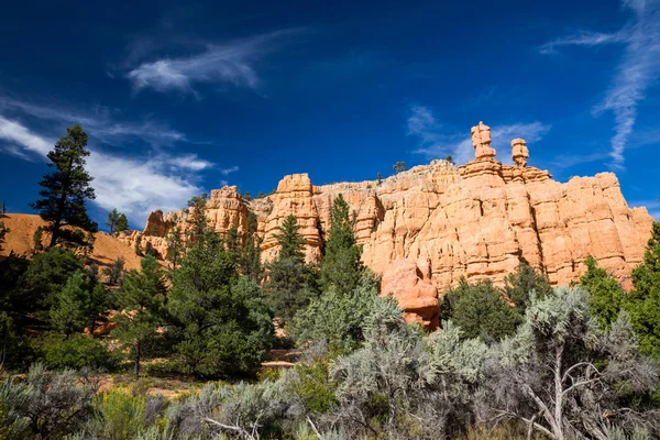 Floresta Nacional de Dixie - Canyon Vermelho — Fotografia de Stock