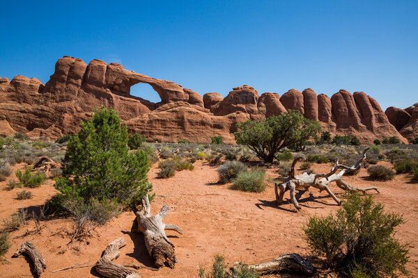 View of the Arches National Park
