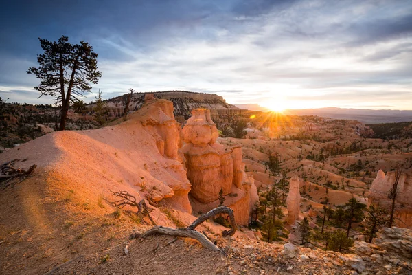 Parco nazionale del Bryce Canyon Sunrise — Foto Stock
