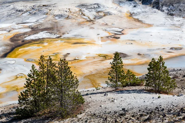 Norris gejzír v národním parku Yellowstone — Stock fotografie