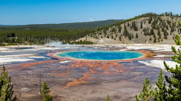 Grand Prismatic Tavasz a Yellowstone Nemzeti Parkban — Stock Fotó