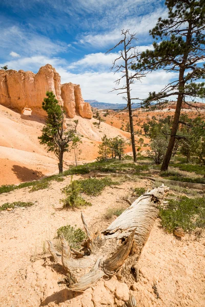 Kilátás a Bryce Canyon Nemzeti Park túraútvonalak — Stock Fotó