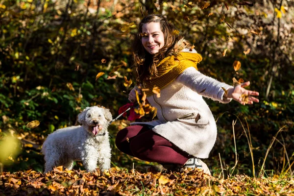 Flicka med en pudel i skogen — Stockfoto