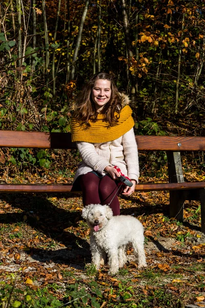 Flicka med en pudel i skogen — Stockfoto