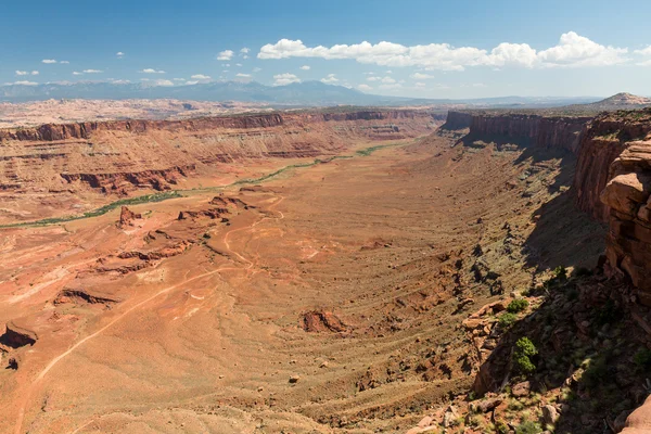 Vue sur l'anticlinal, parc national des Canyonlands — Photo