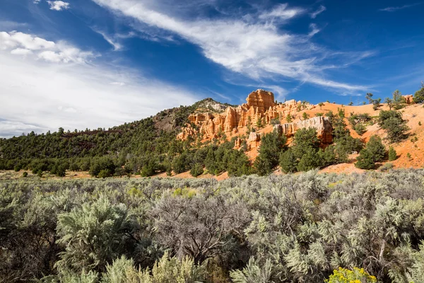 Dixie National Forest - Red Canyon — Zdjęcie stockowe