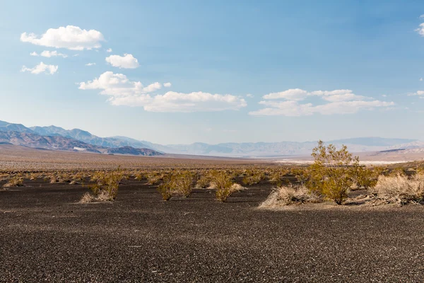 Nature along the street to Racetrack, Death Valley National Park — Stock Photo, Image