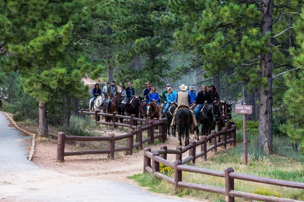 İnsanlar üzerinde yürüyüş parkurları Bryce Canyon Milli Parkı'nda ata binme — Stok fotoğraf