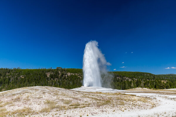 Old Faithful Geyser in Yellowstone National Park