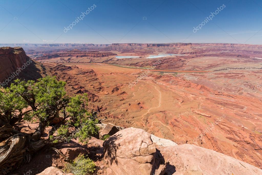 Anticline overlook, Canyonlands National Park — Stock Photo © oscity