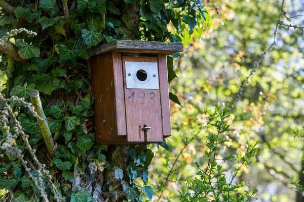 Casa per uccelli in legno in una foresta svizzera — Foto Stock