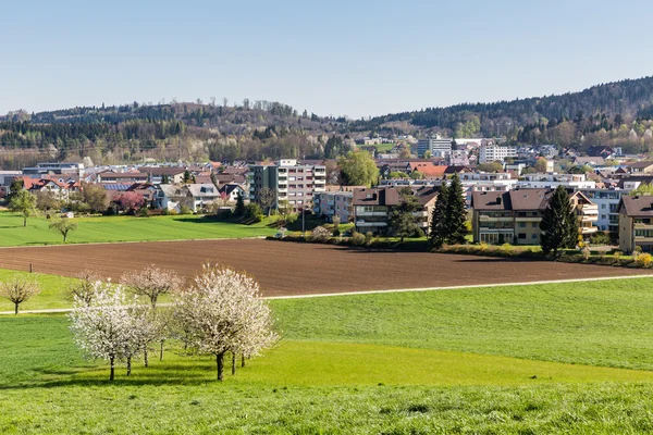 Campos cerca de Fislisbach, Suiza —  Fotos de Stock