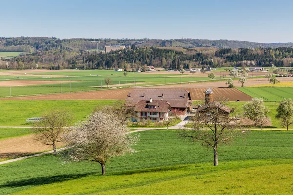 Campos cerca de Fislisbach, Suiza —  Fotos de Stock