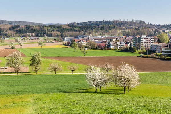 Campos cerca de Fislisbach, Suiza —  Fotos de Stock