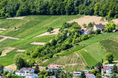 Dağ Lagern görünümünden WETTINGEN için