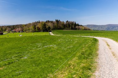 Meadow on Mountain Heitersberg, near Zurich clipart