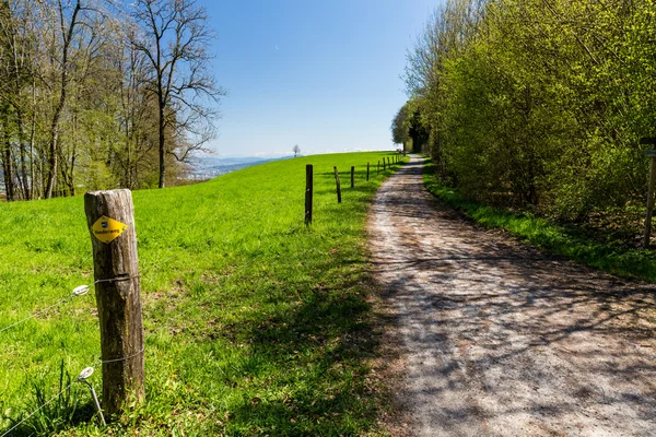 Hiking trail on Mountain Heitersberg — Stock Photo, Image