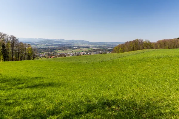 Meadow on Mountain Heitersberg with view to Jura Chain — Stock Photo, Image