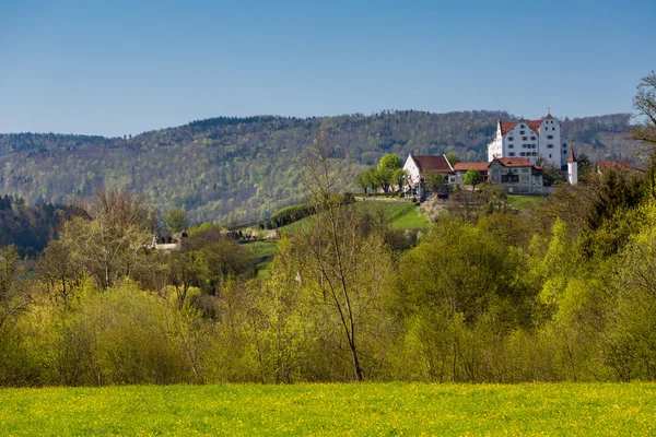 Castillo Wildegg en el cantón de Argovia —  Fotos de Stock