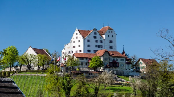 Castelo Wildegg no cantão de Aargau — Fotografia de Stock