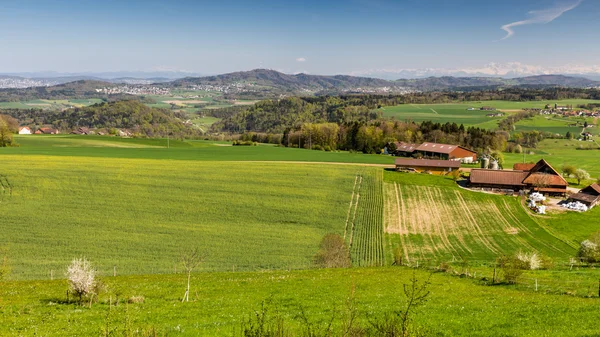 View to Uetliberg, near Zurich — Stock Photo, Image