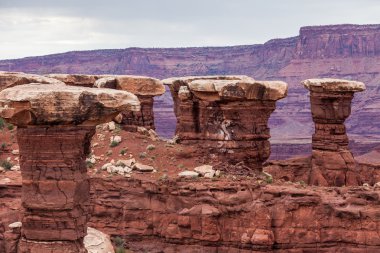 Canyonlands Milli Parkı, utah, ABD