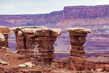 Canyonlands Milli Parkı, utah, ABD