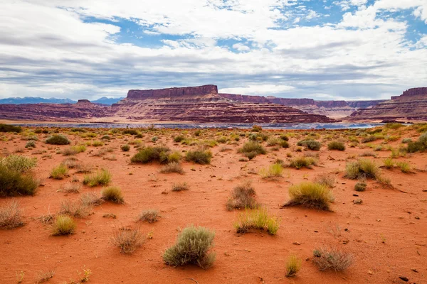 Canyonlands nemzeti park, utah, Amerikai Egyesült Államok — Stock Fotó