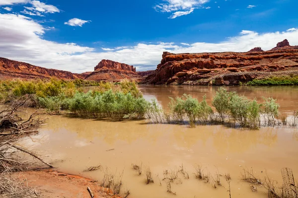 Canyonlands nemzeti park, utah, Amerikai Egyesült Államok — Stock Fotó