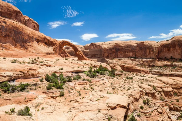 Canyonlands national park, utah, Stany Zjednoczone Ameryki — Zdjęcie stockowe