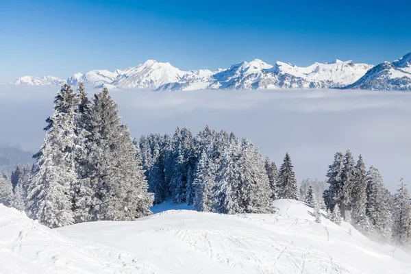Ibergeregg, Schwyz, İsviçre