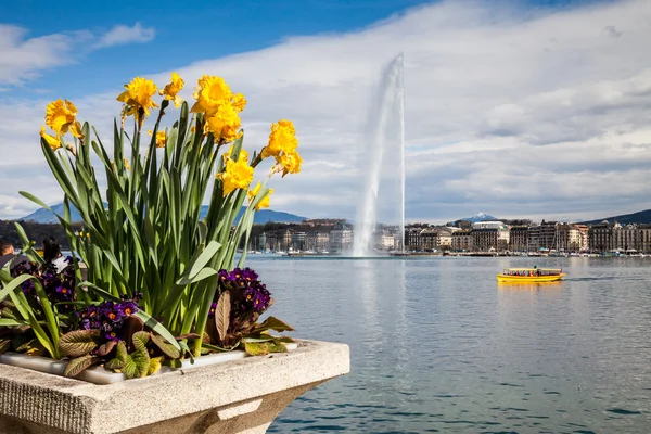 Vistas de Ginebra, Suiza — Foto de Stock