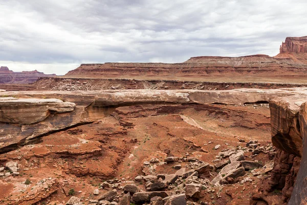 Anticline overlook, Canyonlands National Park — Stock Photo © oscity