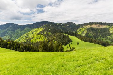 Bisiklete binme boyunca doğa Revuce Slovakya Malino Brdo yolu
