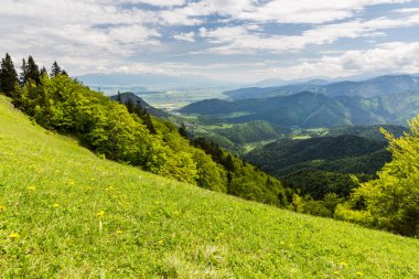Bisiklete binme boyunca doğa Revuce Slovakya Malino Brdo yolu